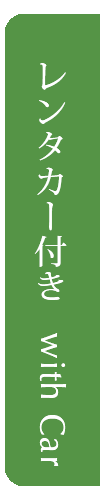 レンタカー付きプラン